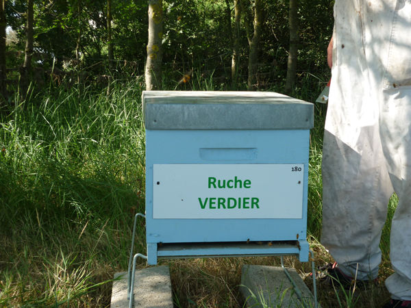 La ruche Verdier