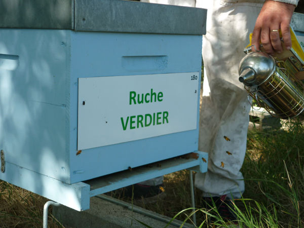 La ruche Verdier