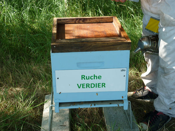 La ruche Verdier