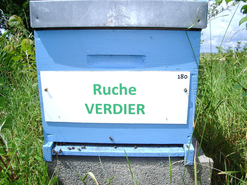 La ruche Verdier