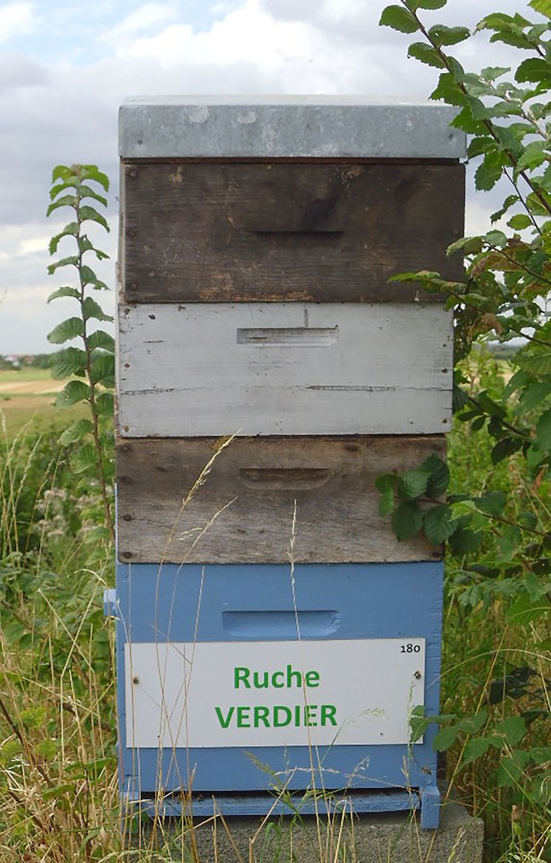 La ruche Verdier