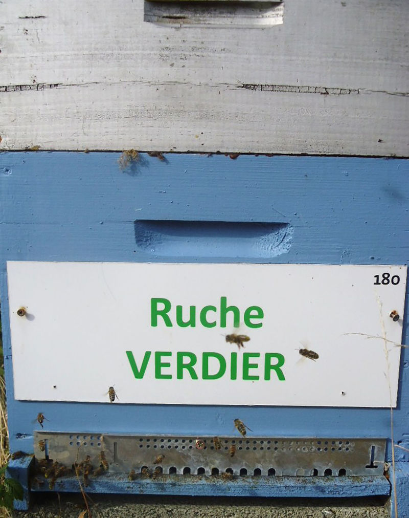 La ruche Verdier