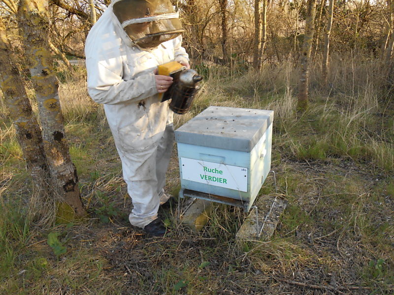 La ruche Verdier