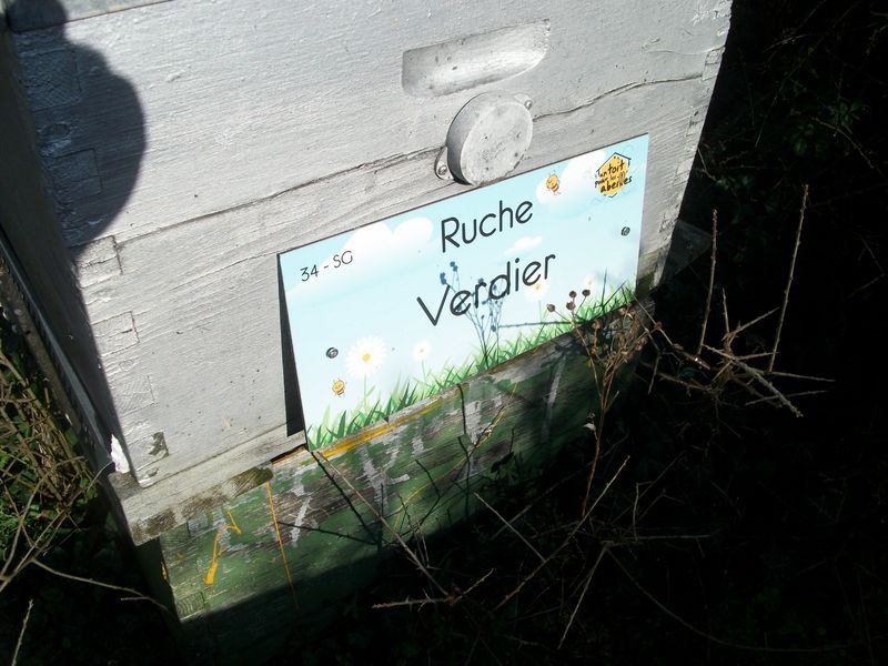 La ruche Verdier