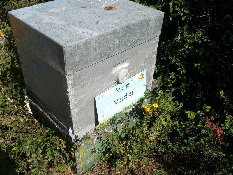 La ruche Verdier