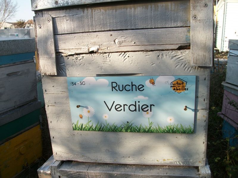La ruche Verdier