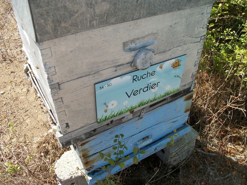 La ruche Verdier