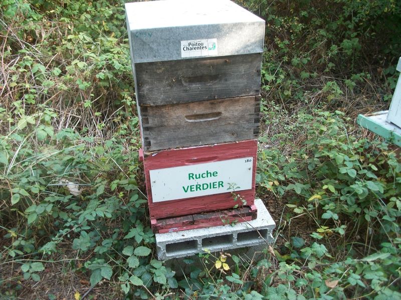 La ruche Verdier