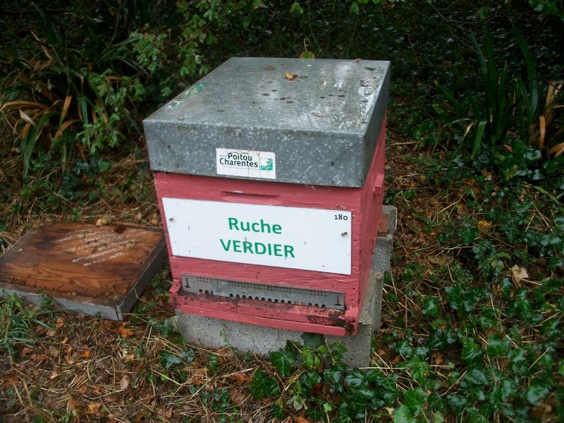 La ruche Verdier