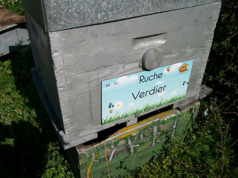 La ruche Verdier