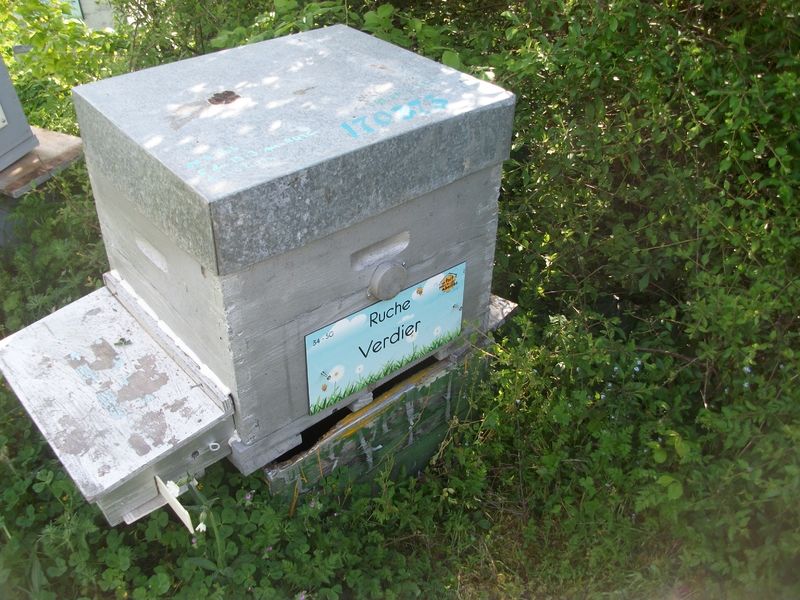 La ruche Verdier
