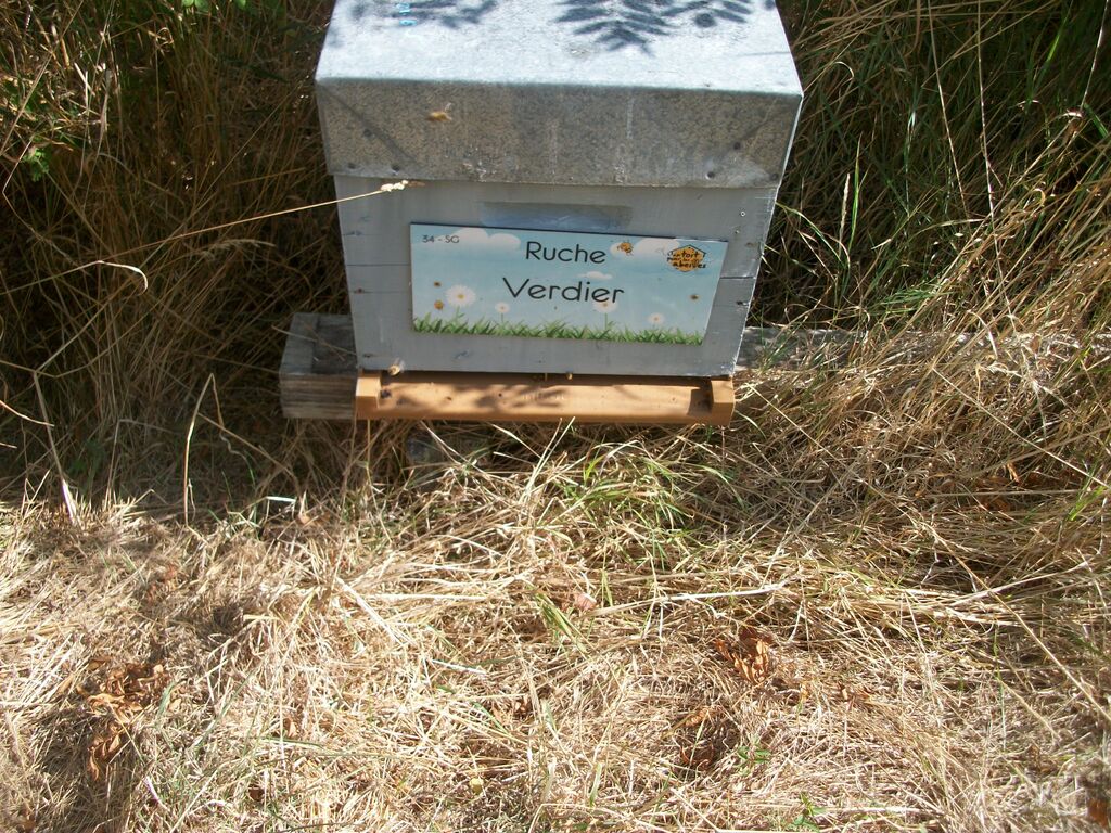La ruche Verdier