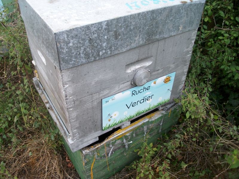 La ruche Verdier