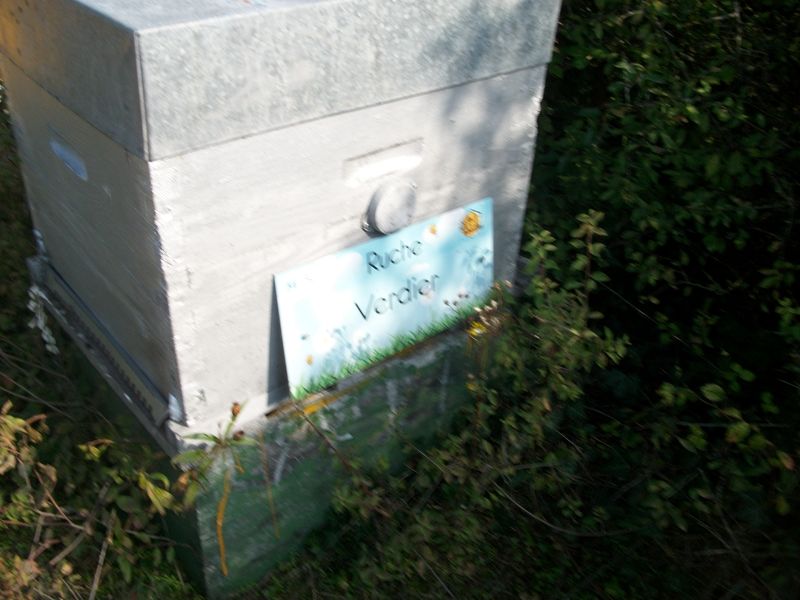 La ruche Verdier