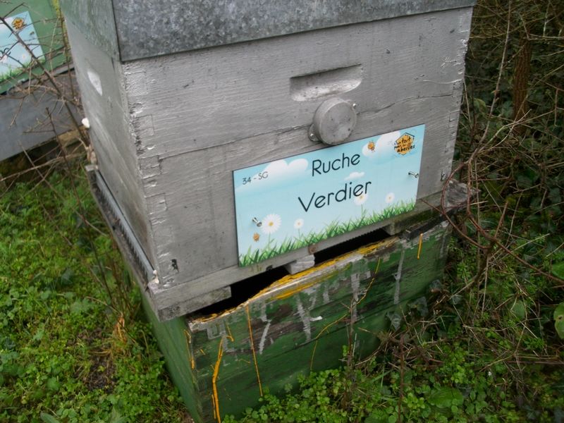 La ruche Verdier