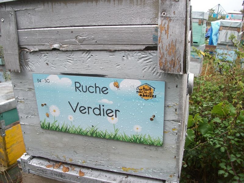 La ruche Verdier