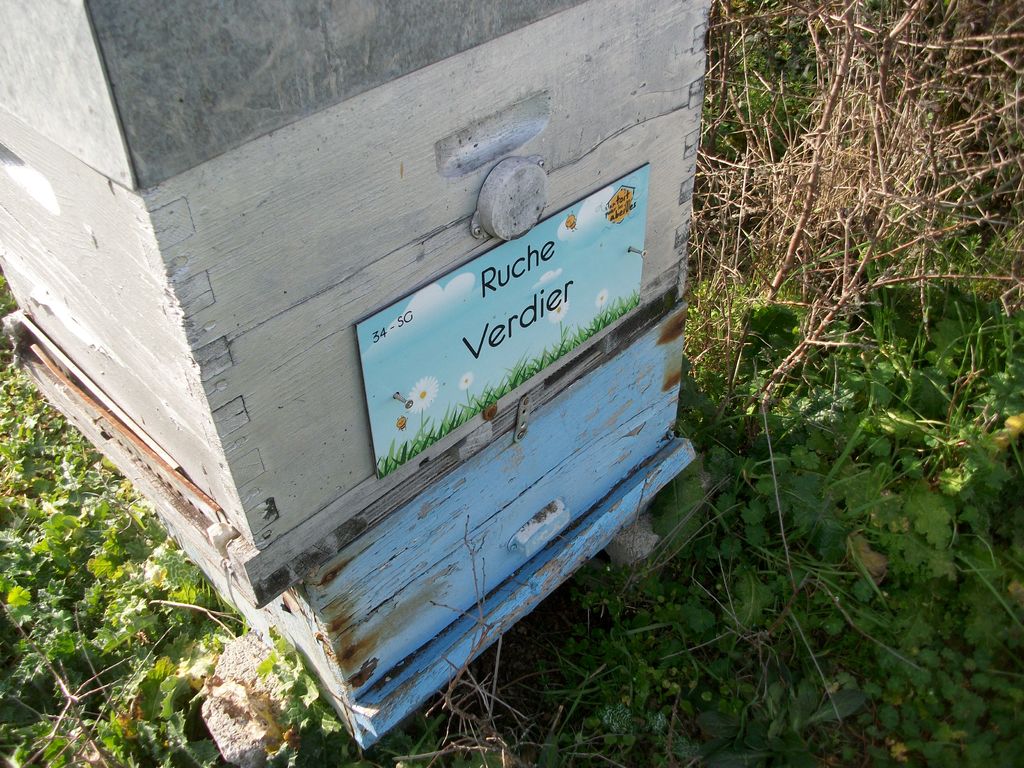 La ruche Verdier