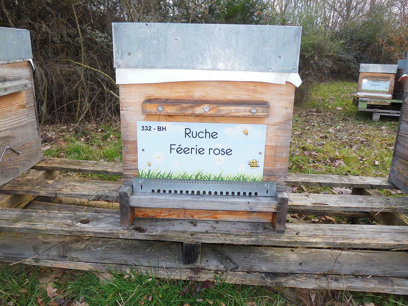 La ruche Féerie rose