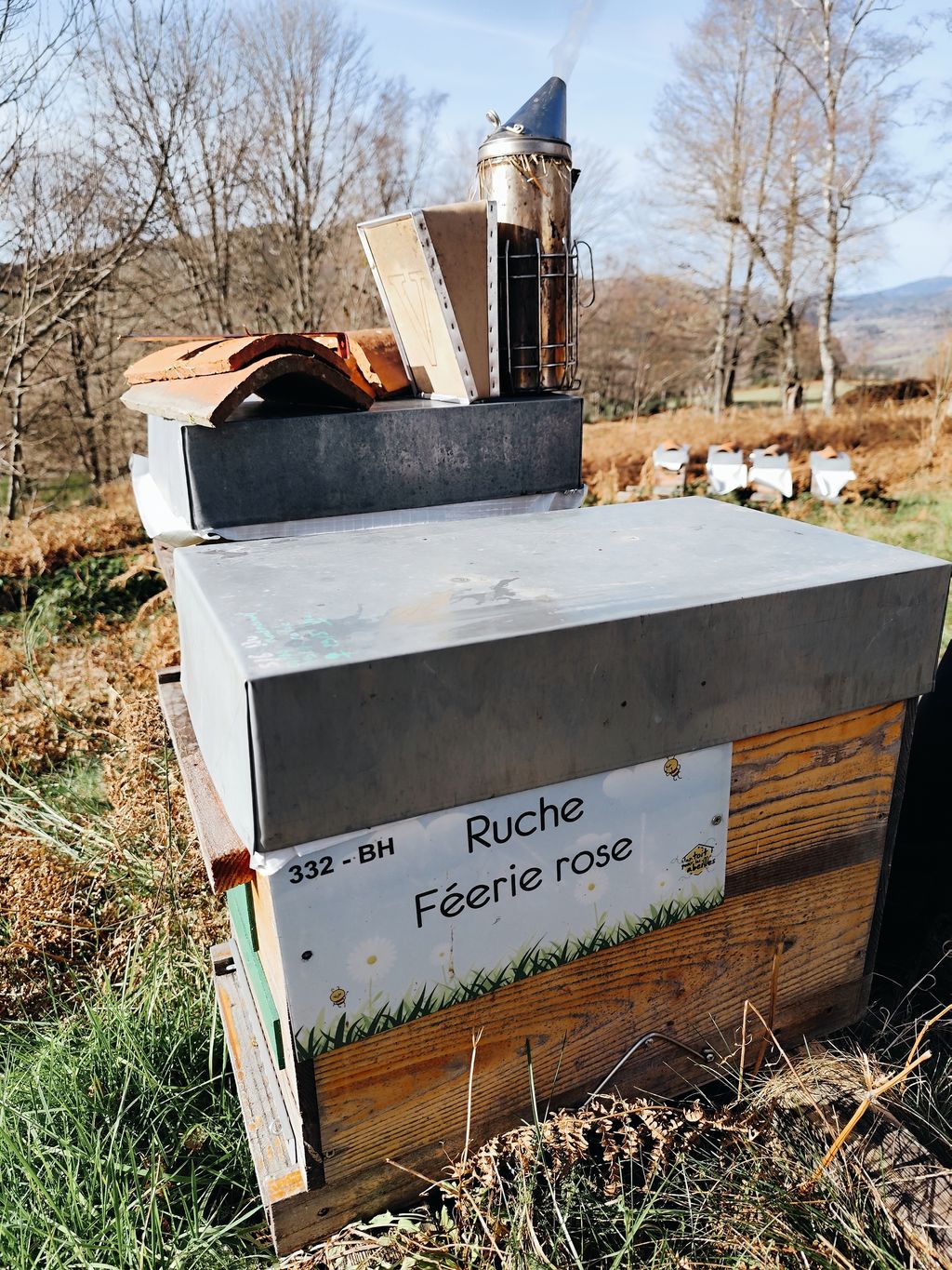 La ruche Féerie rose