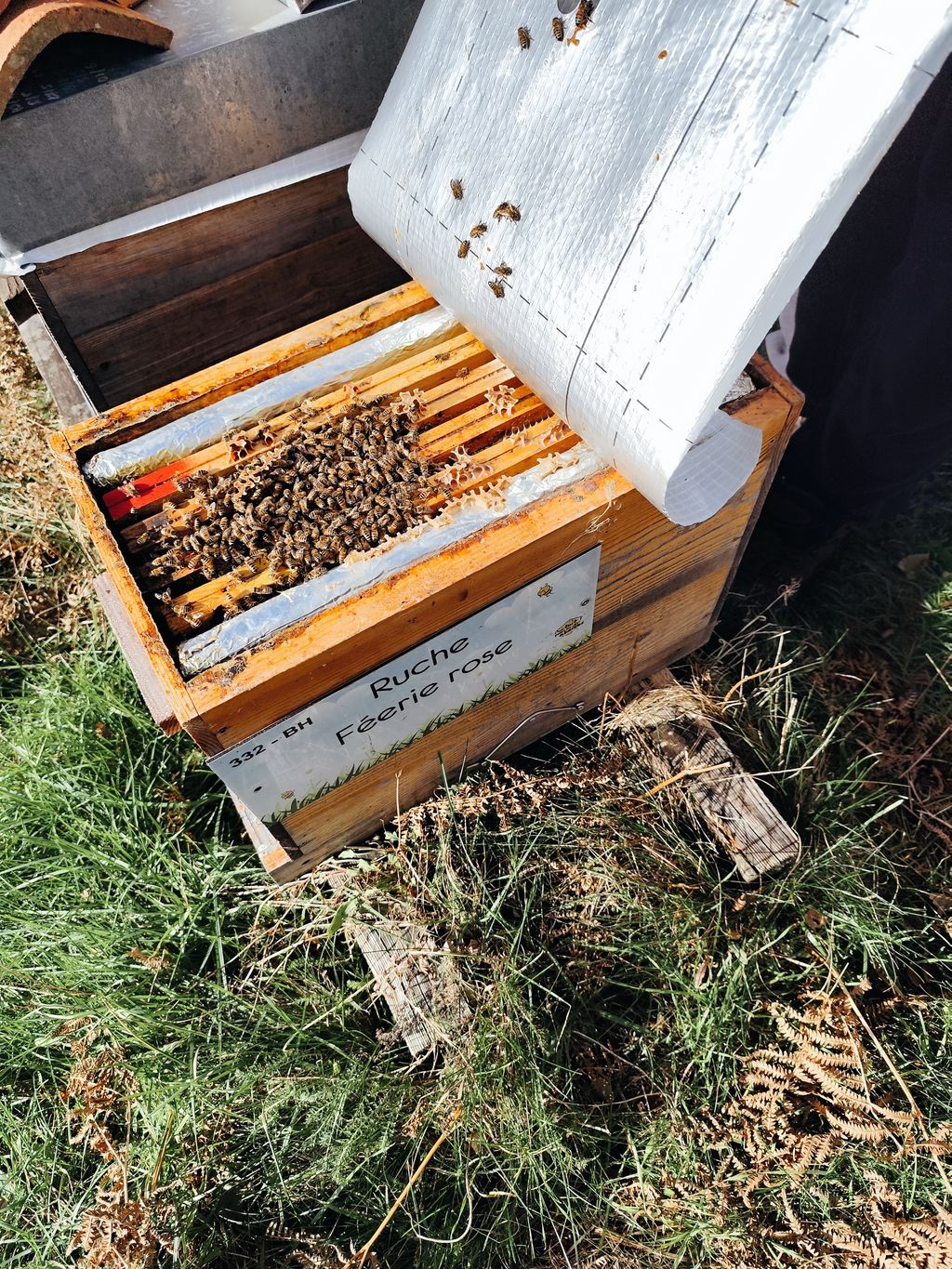 La ruche Féerie rose