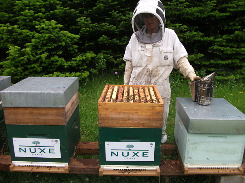 La ruche Laboratoire nuxe