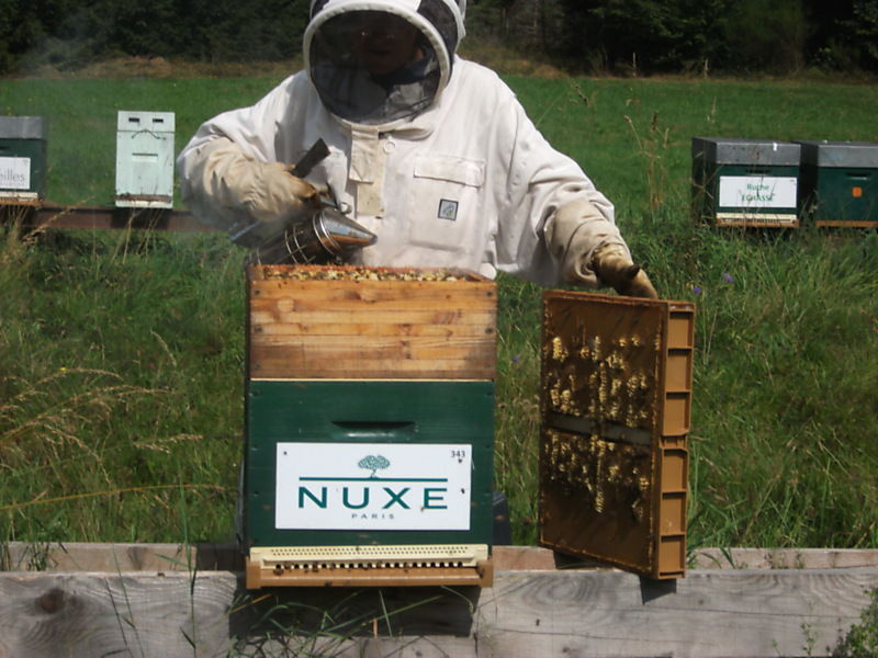 La ruche Laboratoire nuxe