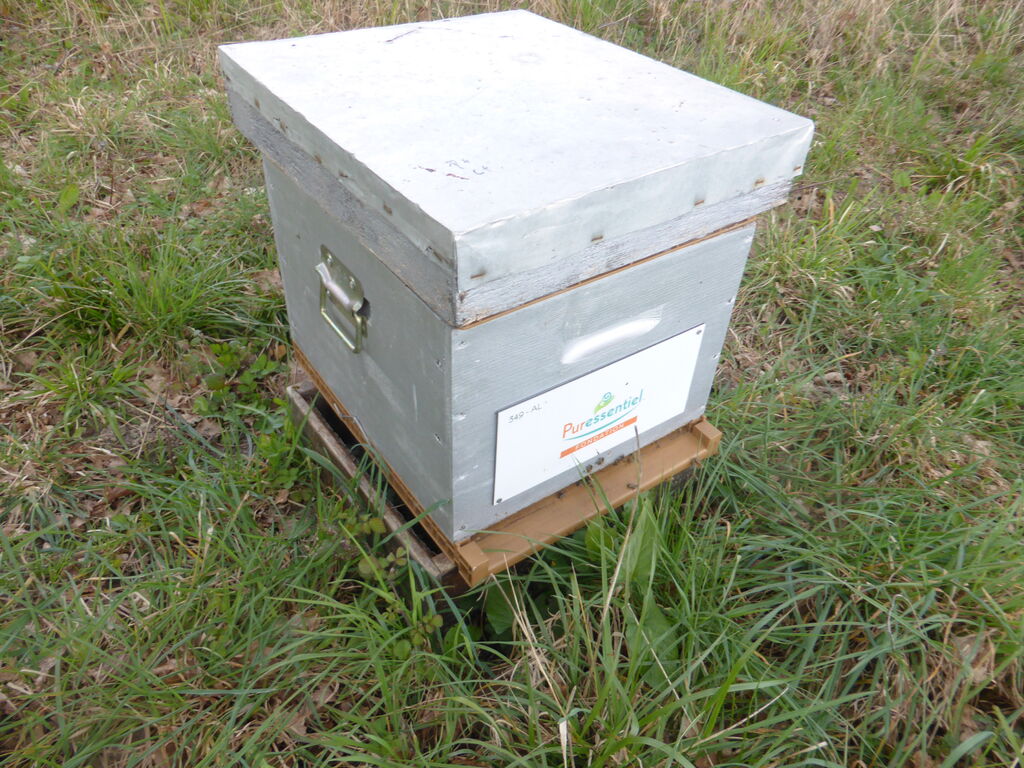 La ruche FONDATION PURESSENTIEL