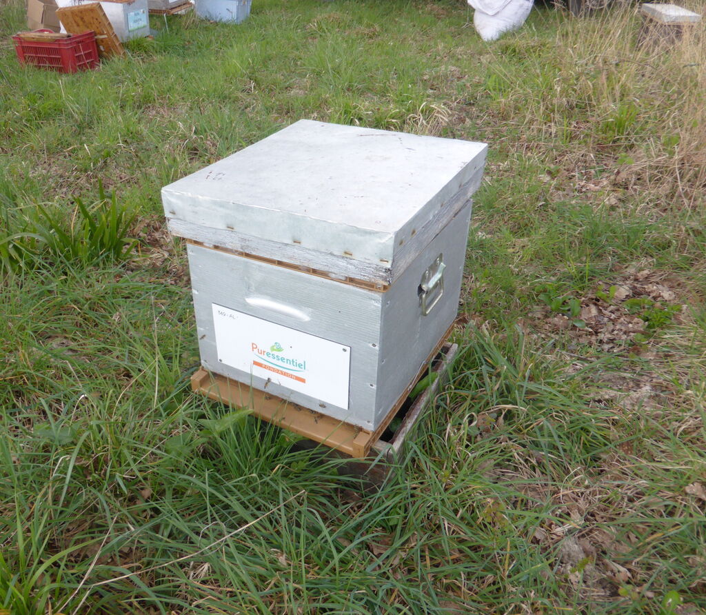 La ruche FONDATION PURESSENTIEL