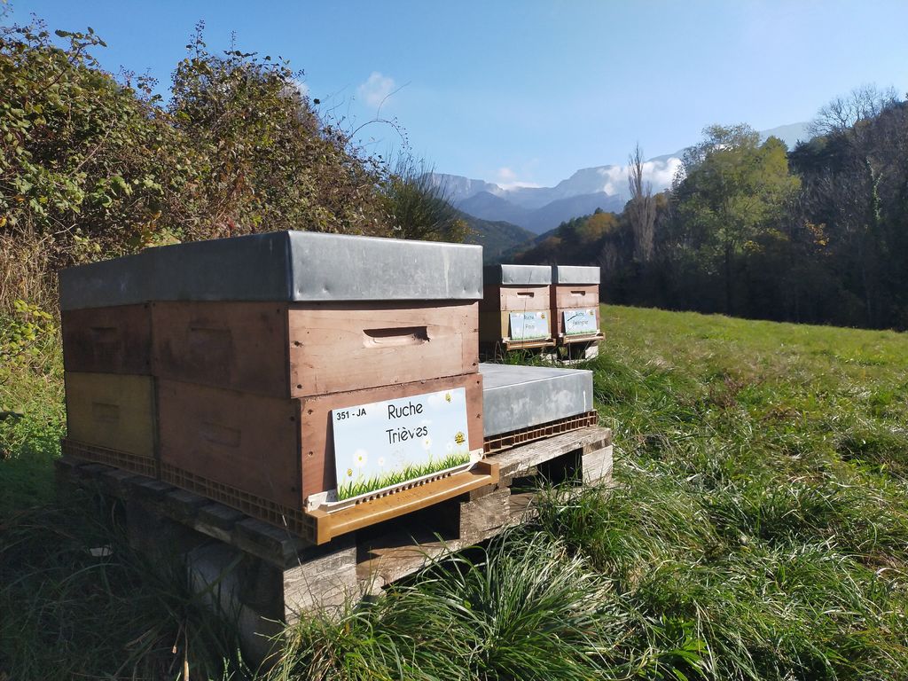 La ruche Trièves