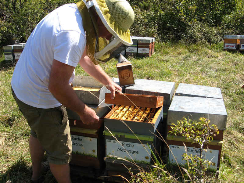 La ruche Matheysine
