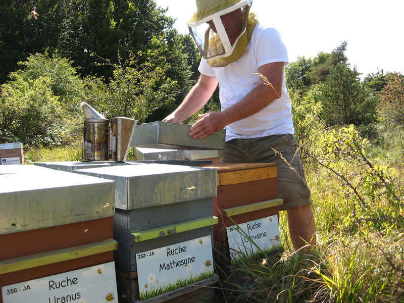 La ruche Matheysine