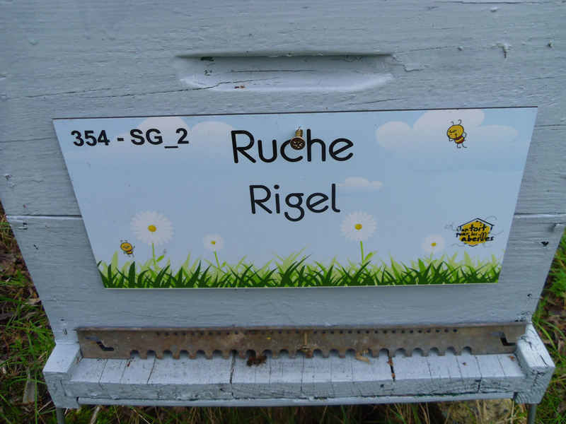 La ruche