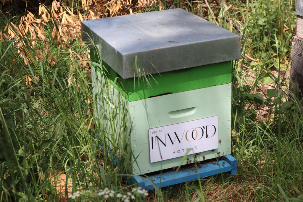 La ruche HELIONWOOD