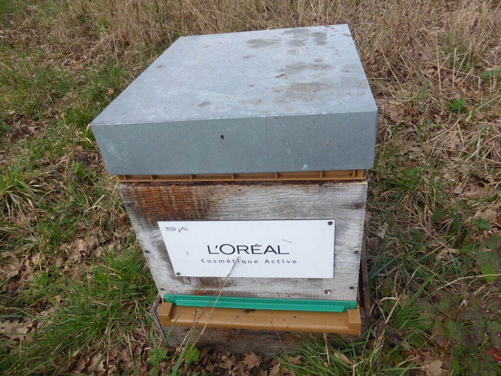 La ruche L OREAL COSMETIQUE ACTIVE