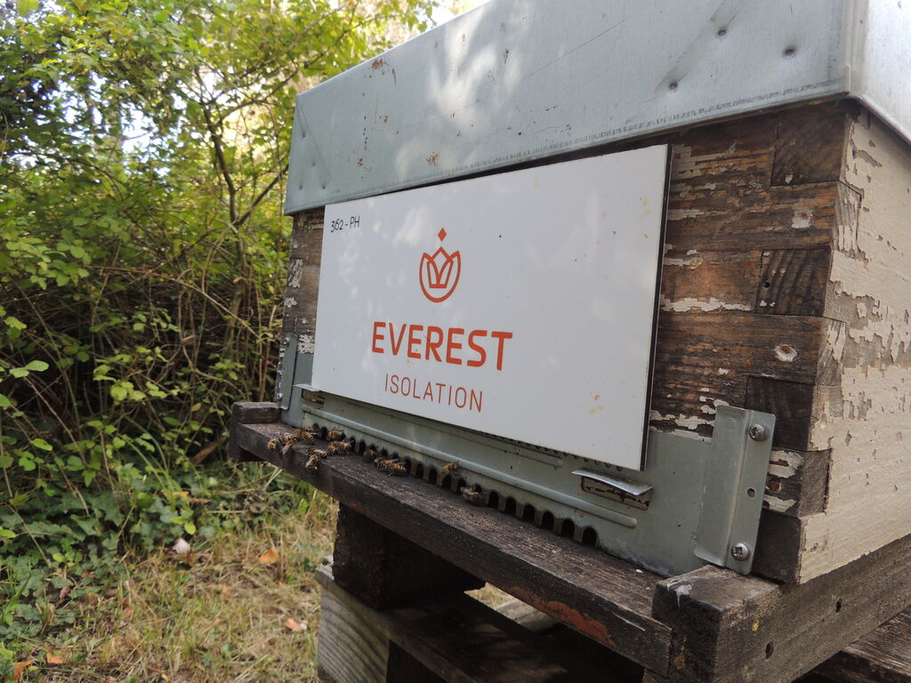 La ruche Everest Isolation