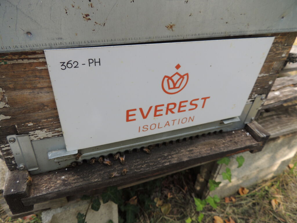 La ruche Everest Isolation