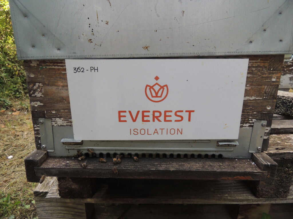 La ruche Everest Isolation