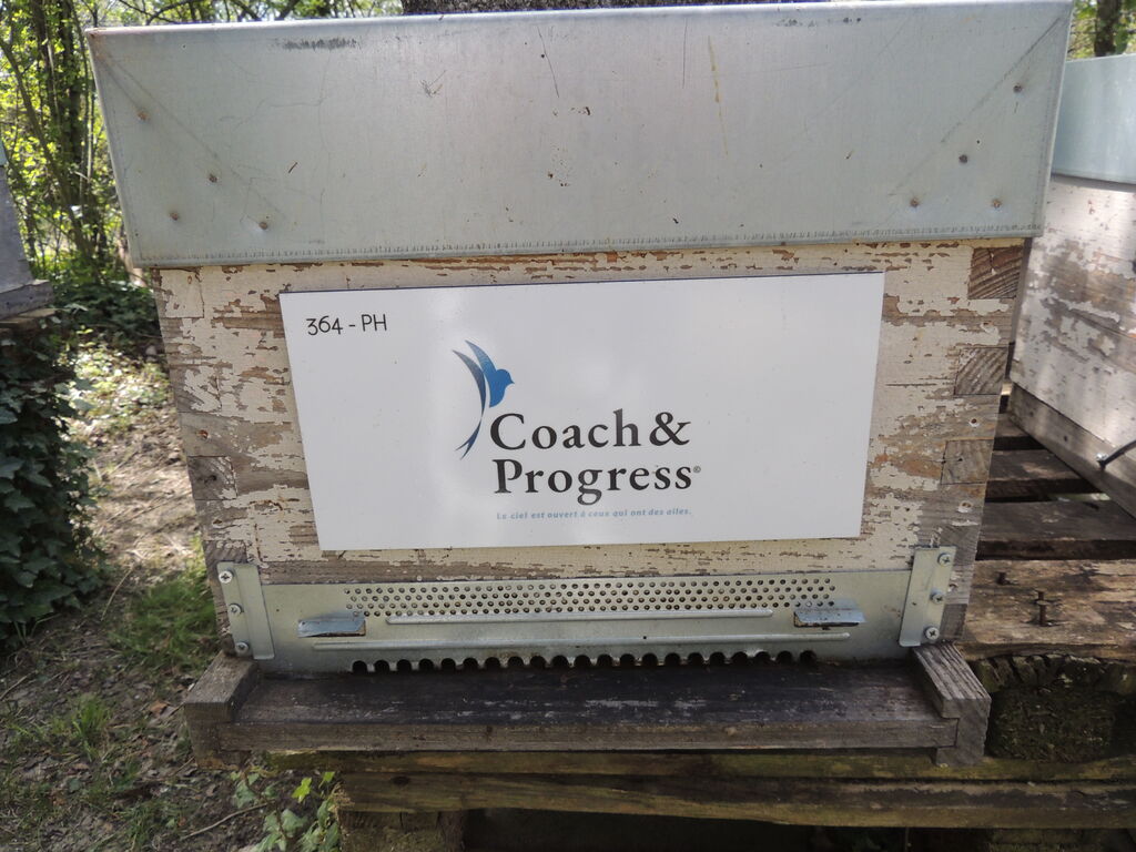 La ruche Coach&Progress