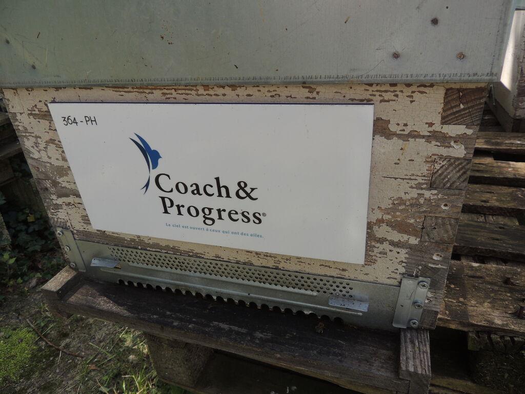 La ruche Coach&Progress