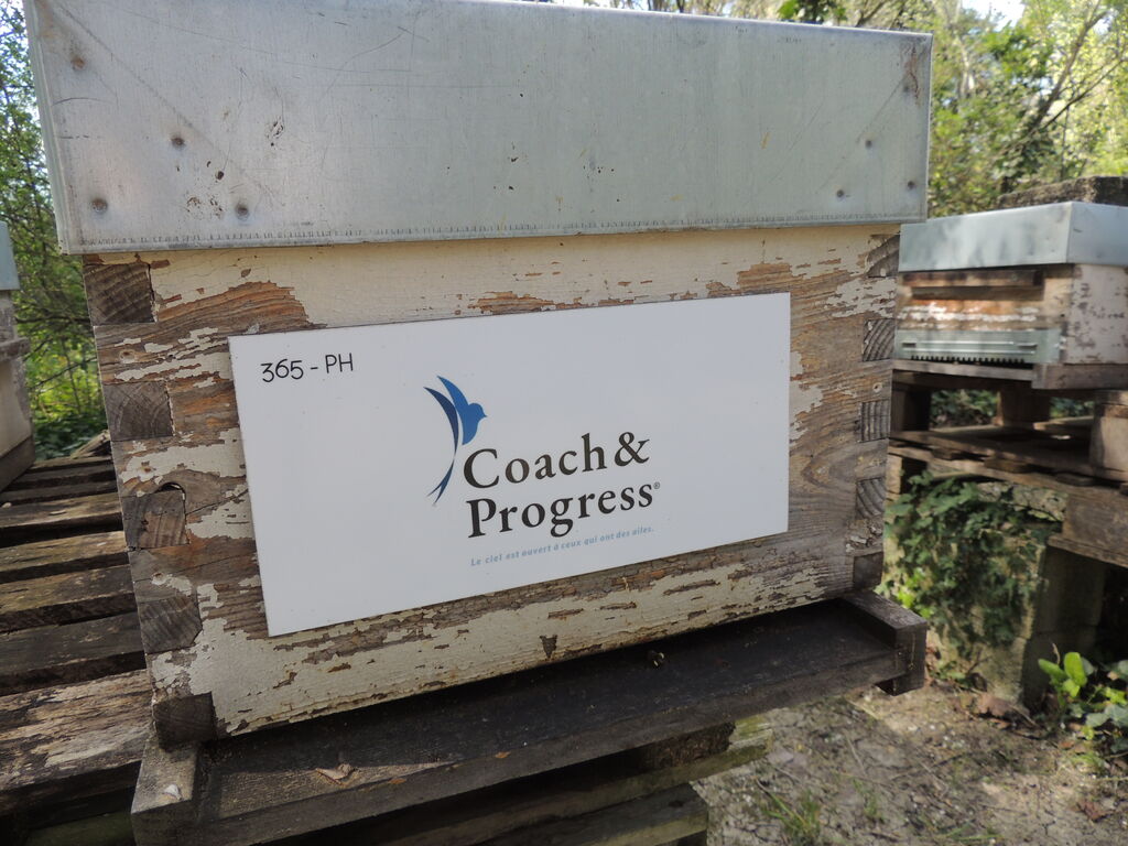 La ruche Coach&Progress