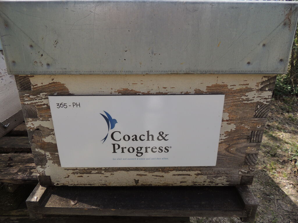 La ruche Coach&Progress