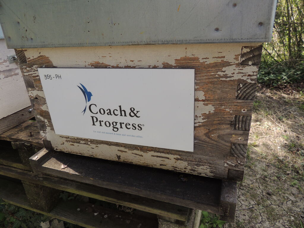 La ruche Coach&Progress