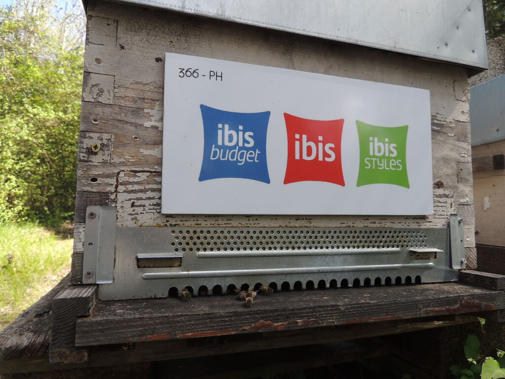 La ruche Ibis budget Pertuis