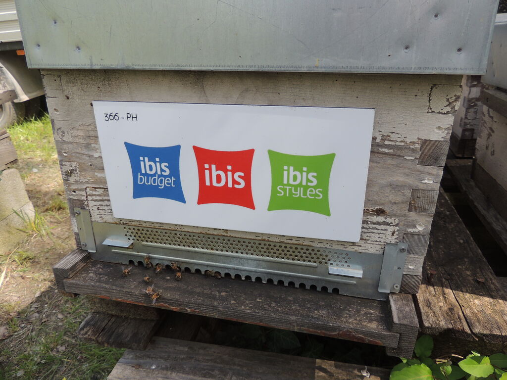 La ruche Ibis budget Pertuis