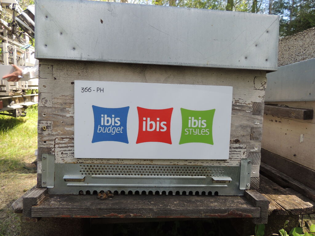 La ruche Ibis budget Pertuis