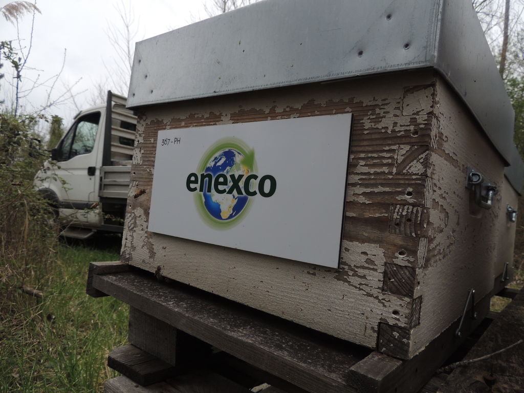 La ruche ENEXCO