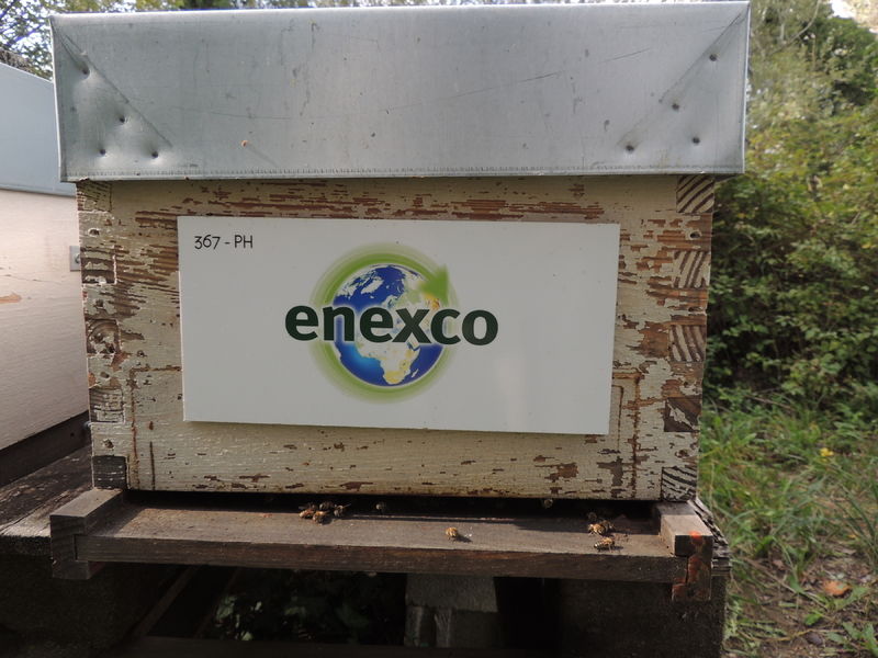 La ruche ENEXCO