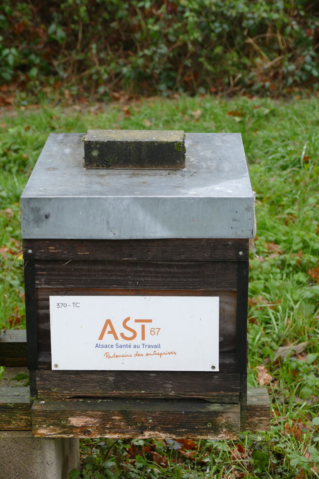 La ruche Ast67 - alsace santé au travail