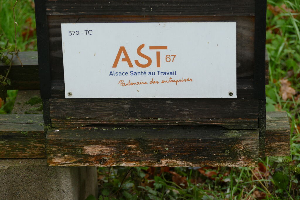 La ruche Ast67 - alsace santé au travail