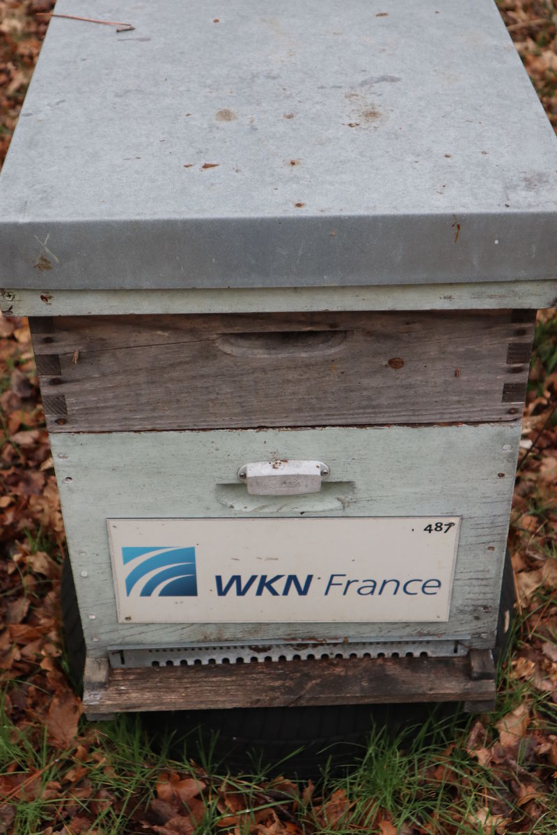 La ruche WKN FRANCE
